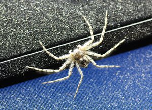 06-007.jpg (2439 просмотров) <a class='original' href='./download/file.php?id=38843&mode=view' target=_blank>Загрузить оригинал (352.09 КБ)</a>