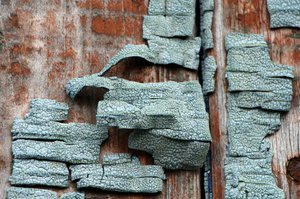 06-010.jpg (2438 просмотров) <a class='original' href='./download/file.php?id=38845&mode=view' target=_blank>Загрузить оригинал (363.51 КБ)</a>