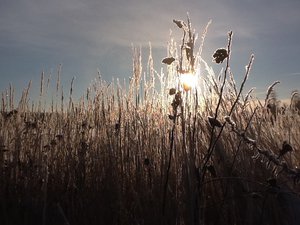 image.jpg (2300 просмотров) <a class='original' href='./download/file.php?id=39407&mode=view' target=_blank>Загрузить оригинал (215.87 КБ)</a>