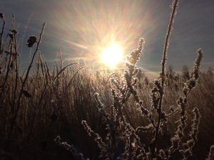 image.jpg (2300 просмотров) <a class='original' href='./download/file.php?id=39408&mode=view' target=_blank>Загрузить оригинал (200.28 КБ)</a>