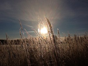 image.jpg (2300 просмотров) <a class='original' href='./download/file.php?id=39409&mode=view' target=_blank>Загрузить оригинал (210.19 КБ)</a>