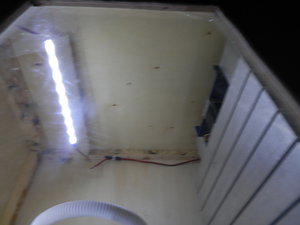 Светодиодная лента 2.JPG (9346 просмотров) <a class='original' href='./download/file.php?id=39441&mode=view' target=_blank>Загрузить оригинал (3.03 МБ)</a>