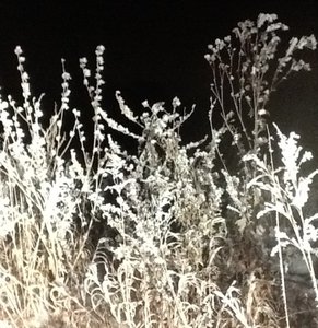 image.jpg (2802 просмотра) <a class='original' href='./download/file.php?id=39588&mode=view' target=_blank>Загрузить оригинал (154.83 КБ)</a>