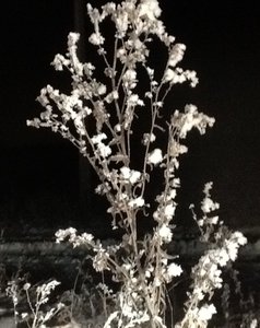 image.jpg (2802 просмотра) <a class='original' href='./download/file.php?id=39589&mode=view' target=_blank>Загрузить оригинал (139.51 КБ)</a>