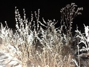 image.jpg (2802 просмотра) <a class='original' href='./download/file.php?id=39590&mode=view' target=_blank>Загрузить оригинал (253.98 КБ)</a>