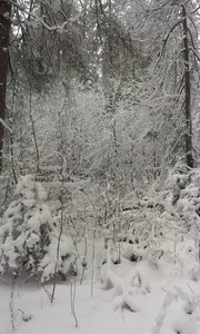 IMAG0907.jpg (2782 просмотра) <a class='original' href='./download/file.php?id=39617&mode=view' target=_blank>Загрузить оригинал (1.28 МБ)</a>