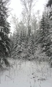 IMAG0911.jpg (2782 просмотра) <a class='original' href='./download/file.php?id=39631&mode=view' target=_blank>Загрузить оригинал (1.07 МБ)</a>