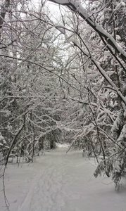 IMAG0913.jpg (2782 просмотра) <a class='original' href='./download/file.php?id=39634&mode=view' target=_blank>Загрузить оригинал (1.22 МБ)</a>