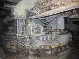 20150105_124518.jpg (14783 просмотра) <a class='original' href='./download/file.php?id=39736&mode=view' target=_blank>Загрузить оригинал (3.18 МБ)</a>