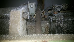 20150105_112011.jpg (14783 просмотра) <a class='original' href='./download/file.php?id=39739&mode=view' target=_blank>Загрузить оригинал (419.93 КБ)</a>