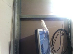 IMG_20150109_161411.jpg (1716 просмотров) <a class='original' href='./download/file.php?id=40113&mode=view' target=_blank>Загрузить оригинал (1.19 МБ)</a>