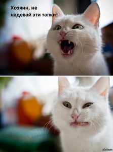 1421330040_703003610.png (1939 просмотров) <a class='original' href='./download/file.php?id=40640&mode=view' target=_blank>Загрузить оригинал (409.34 КБ)</a>