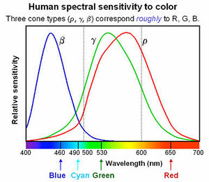 Human_spectral_sensitivity_small_zps557a086e.jpg (3599 просмотров) <a class='original' href='./download/file.php?id=41091&mode=view' target=_blank>Загрузить оригинал (29.12 КБ)</a>
