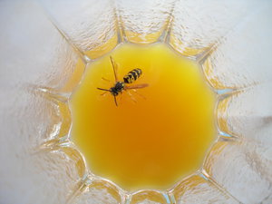 SAM_2804.JPG (2652 просмотра) <a class='original' href='./download/file.php?id=42254&mode=view' target=_blank>Загрузить оригинал (3.16 МБ)</a>