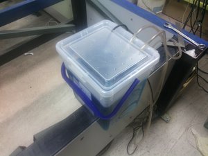 IMG_20150218_141525.jpg (1481 просмотр) <a class='original' href='./download/file.php?id=43398&mode=view' target=_blank>Загрузить оригинал (1.02 МБ)</a>