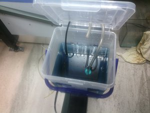 IMG_20150218_141538.jpg (1481 просмотр) <a class='original' href='./download/file.php?id=43399&mode=view' target=_blank>Загрузить оригинал (967.58 КБ)</a>