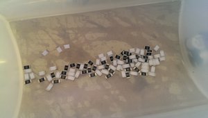 2015-02-27 17-32-06.JPG (2342 просмотра) <a class='original' href='./download/file.php?id=44008&mode=view' target=_blank>Загрузить оригинал (859.48 КБ)</a>