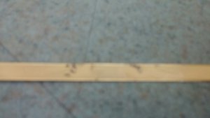 20150303_105701_resized.jpg (5049 просмотров) <a class='original' href='./download/file.php?id=44415&sid=e94517e562fcb9500f8a4541cd9e67f8&mode=view' target=_blank>Загрузить оригинал (100.53 КБ)</a>