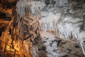 IMG_2735.JPG (3056 просмотров) <a class='original' href='./download/file.php?id=44628&mode=view' target=_blank>Загрузить оригинал (4.74 МБ)</a>