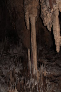 IMG_2705.JPG (3056 просмотров) <a class='original' href='./download/file.php?id=44629&mode=view' target=_blank>Загрузить оригинал (3.39 МБ)</a>