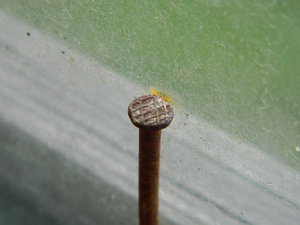 DSCN0929.JPG (2998 просмотров) <a class='original' href='./download/file.php?id=44925&mode=view' target=_blank>Загрузить оригинал (5.69 МБ)</a>