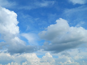 DSCN0985.JPG (2998 просмотров) <a class='original' href='./download/file.php?id=44927&mode=view' target=_blank>Загрузить оригинал (5.26 МБ)</a>