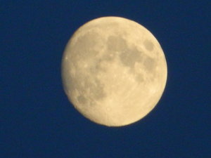 DSCN1011.JPG (2998 просмотров) <a class='original' href='./download/file.php?id=44928&mode=view' target=_blank>Загрузить оригинал (2.92 МБ)</a>