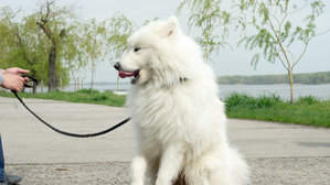 DSC03214.JPG (2931 просмотр) <a class='original' href='./download/file.php?id=45381&mode=view' target=_blank>Загрузить оригинал (881.87 КБ)</a>