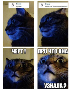 черно-синий.jpg (3542 просмотра) <a class='original' href='./download/file.php?id=45820&mode=view' target=_blank>Загрузить оригинал (157.42 КБ)</a>