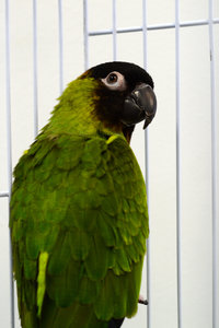 DSC_0044.JPG (2835 просмотров) <a class='original' href='./download/file.php?id=46173&mode=view' target=_blank>Загрузить оригинал (16.58 МБ)</a>