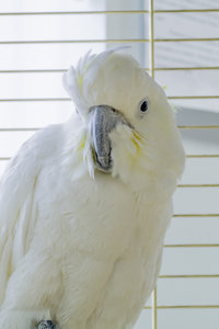 DSC_0053.JPG (2835 просмотров) <a class='original' href='./download/file.php?id=46175&mode=view' target=_blank>Загрузить оригинал (3.84 МБ)</a>