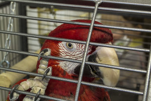 DSC_0058.JPG (2835 просмотров) <a class='original' href='./download/file.php?id=46176&mode=view' target=_blank>Загрузить оригинал (7.1 МБ)</a>