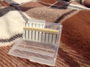 IMG_0286.JPG (2870 просмотров) <a class='original' href='./download/file.php?id=46849&mode=view' target=_blank>Загрузить оригинал (1.28 МБ)</a>