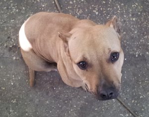 20150415_1656051.jpg (2187 просмотров) <a class='original' href='./download/file.php?id=48135&mode=view' target=_blank>Загрузить оригинал (154.98 КБ)</a>