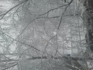 111111.jpg (2317 просмотров) <a class='original' href='./download/file.php?id=48421&mode=view' target=_blank>Загрузить оригинал (1.72 МБ)</a>