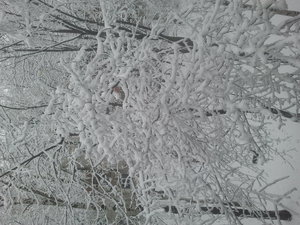 222222.jpg (2317 просмотров) <a class='original' href='./download/file.php?id=48422&mode=view' target=_blank>Загрузить оригинал (1.74 МБ)</a>