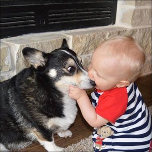 4bb793c92a145716f10f5058789f7396.jpg (1791 просмотр) <a class='original' href='./download/file.php?id=48559&mode=view' target=_blank>Загрузить оригинал (227.57 КБ)</a>