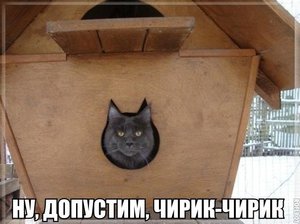 BKjZ9tsZfEA.jpg (1669 просмотров) <a class='original' href='./download/file.php?id=48627&mode=view' target=_blank>Загрузить оригинал (55.86 КБ)</a>