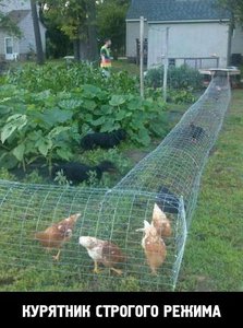 6_FE1YVVnV0.jpg (1669 просмотров) <a class='original' href='./download/file.php?id=48628&mode=view' target=_blank>Загрузить оригинал (47.26 КБ)</a>