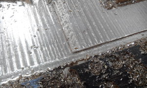 IMG_20150424_171154.jpg (3868 просмотров) <a class='original' href='./download/file.php?id=48909&mode=view' target=_blank>Загрузить оригинал (1.07 МБ)</a>