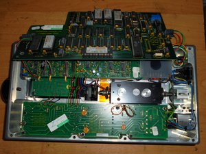 DSC03039 (Копировать).JPG (6259 просмотров) <a class='original' href='./download/file.php?id=49137&mode=view' target=_blank>Загрузить оригинал (415.47 КБ)</a>