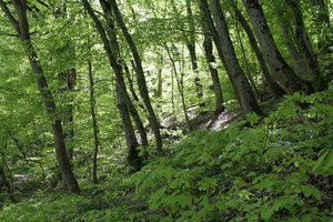 IMG_6411.jpg (2761 просмотр) <a class='original' href='./download/file.php?id=49292&mode=view' target=_blank>Загрузить оригинал (653.67 КБ)</a>