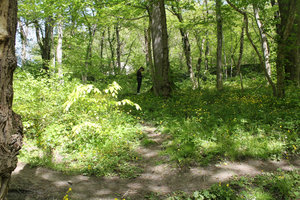 IMG_6499.jpg (2761 просмотр) <a class='original' href='./download/file.php?id=49293&mode=view' target=_blank>Загрузить оригинал (755.11 КБ)</a>