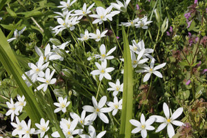 IMG_6513.jpg (2761 просмотр) <a class='original' href='./download/file.php?id=49294&mode=view' target=_blank>Загрузить оригинал (362.42 КБ)</a>