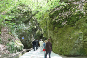 IMG_6456.jpg (2761 просмотр) <a class='original' href='./download/file.php?id=49296&mode=view' target=_blank>Загрузить оригинал (661.52 КБ)</a>