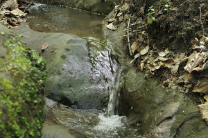 IMG_6492.jpg (2761 просмотр) <a class='original' href='./download/file.php?id=49307&mode=view' target=_blank>Загрузить оригинал (415.84 КБ)</a>