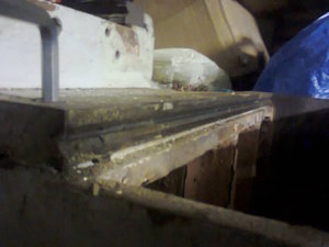 Фото2284.jpg (3675 просмотров) <a class='original' href='./download/file.php?id=49807&mode=view' target=_blank>Загрузить оригинал (96.25 КБ)</a>