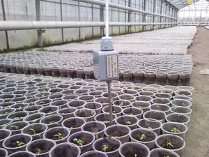 термодатчик (4102 просмотра) <a class='original' href='./download/file.php?id=50571&mode=view' target=_blank>Загрузить оригинал (1.14 МБ)</a>