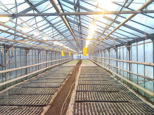 система досветки, рассадный отсек (4101 просмотр) <a class='original' href='./download/file.php?id=50576&mode=view' target=_blank>Загрузить оригинал (1.5 МБ)</a>