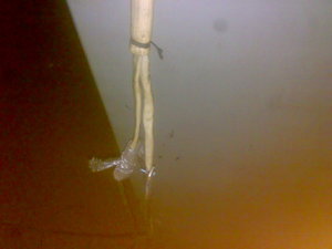 21052015292.jpg (2094 просмотра) <a class='original' href='./download/file.php?id=50711&mode=view' target=_blank>Загрузить оригинал (337.16 КБ)</a>